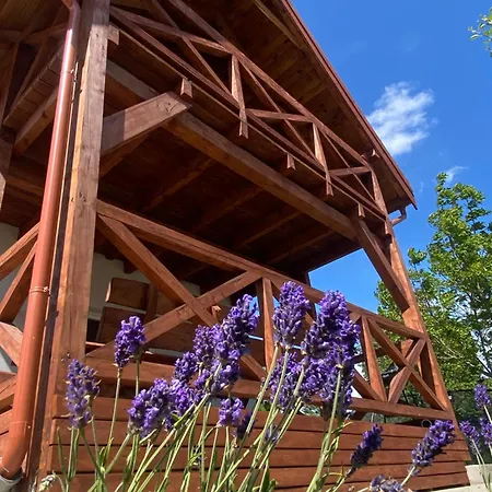Pod Brzozka Holiday home Prazmowo